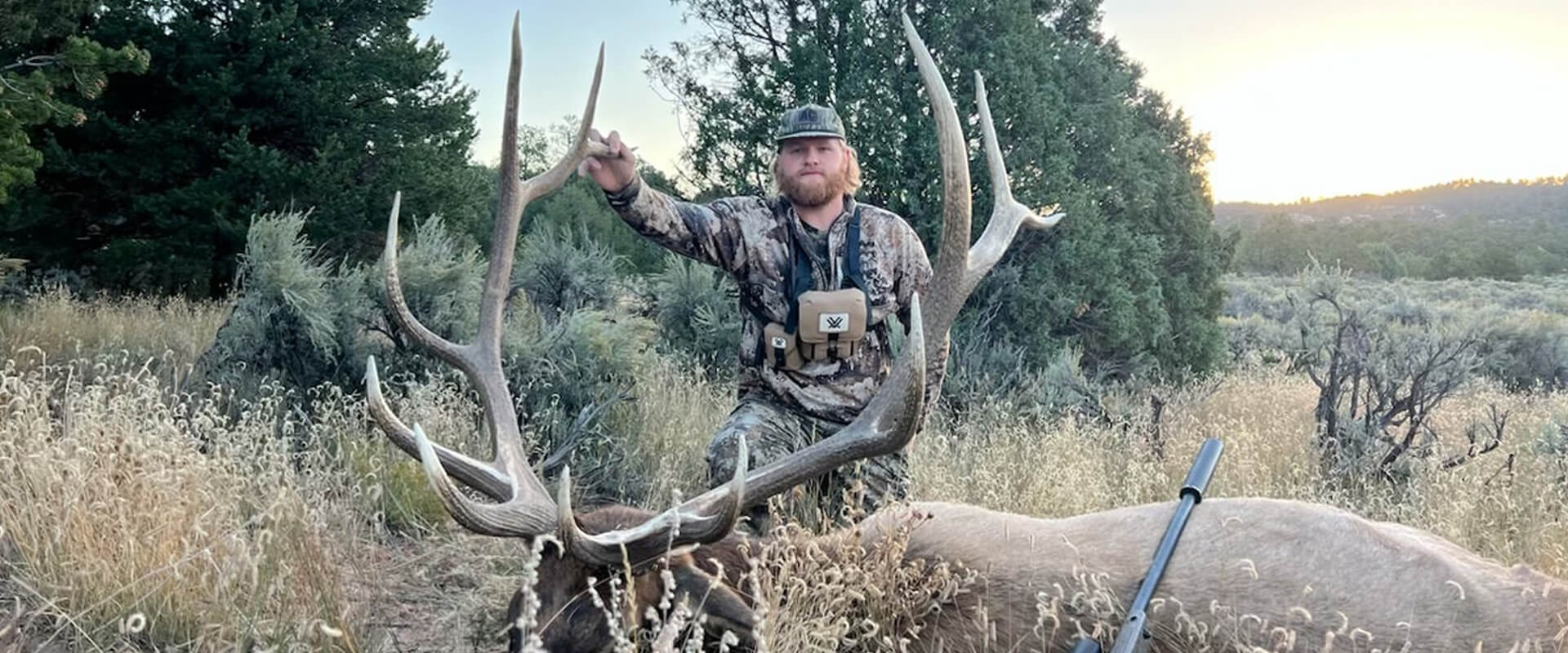 New Mexico Hunting License Application Services | Elk Hunting Lottery New Mexico