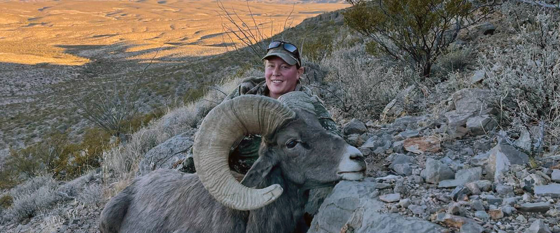 New Mexico Guided Bighorn Sheep Hunts