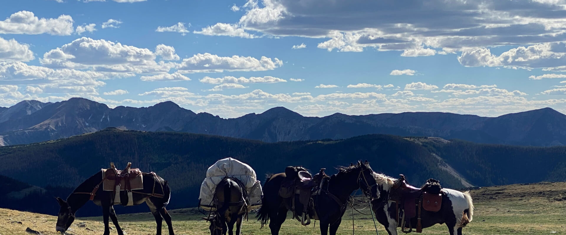 Contact H&A Outfitters