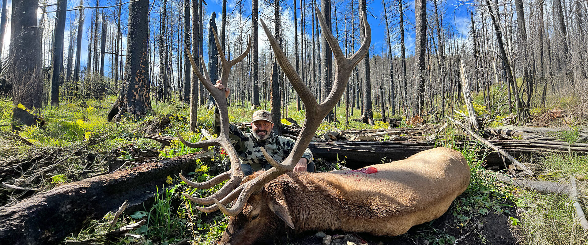 New Mexico Trophy Elk Hunting Outfitter | Guided Elk Hunts