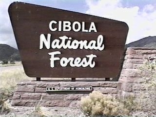 Cibola National Forest and National Grasslands