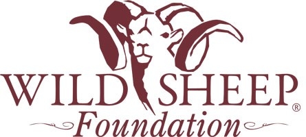 Wild Sheep Foundation