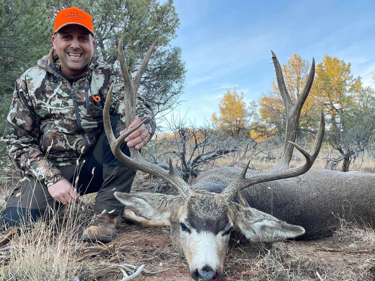 hunt mule deer in New Mexico