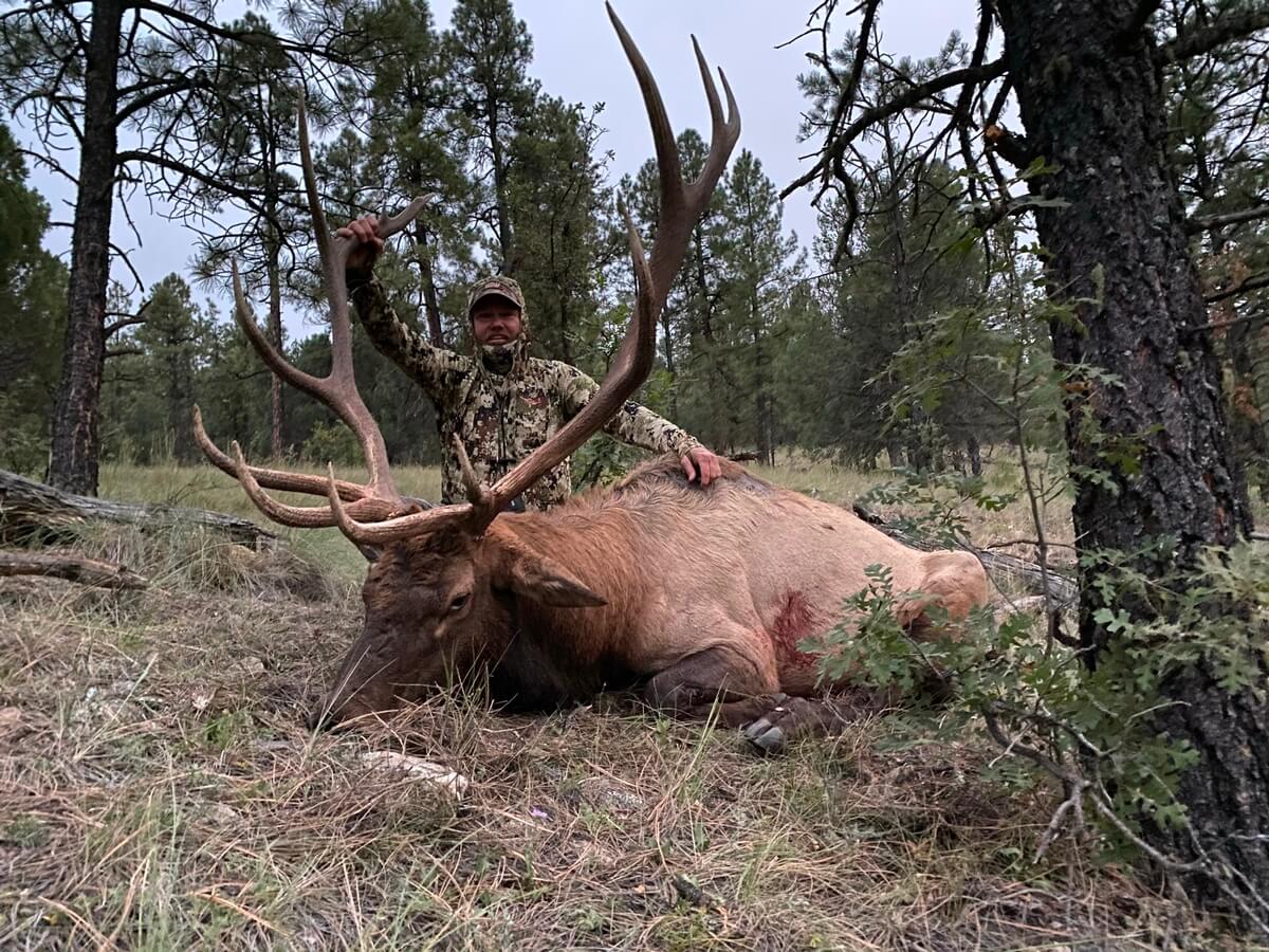 Public Land Elk Hunts