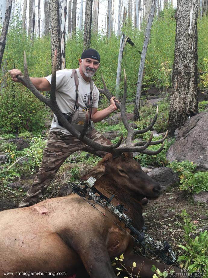  Public Land Elk Hunts