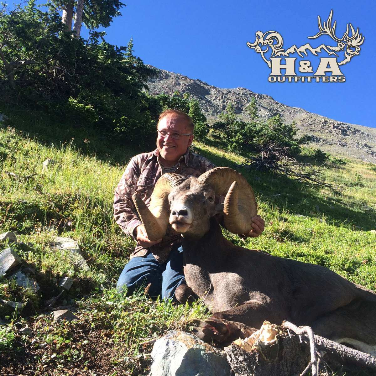 Bighorn Sheep Hunts