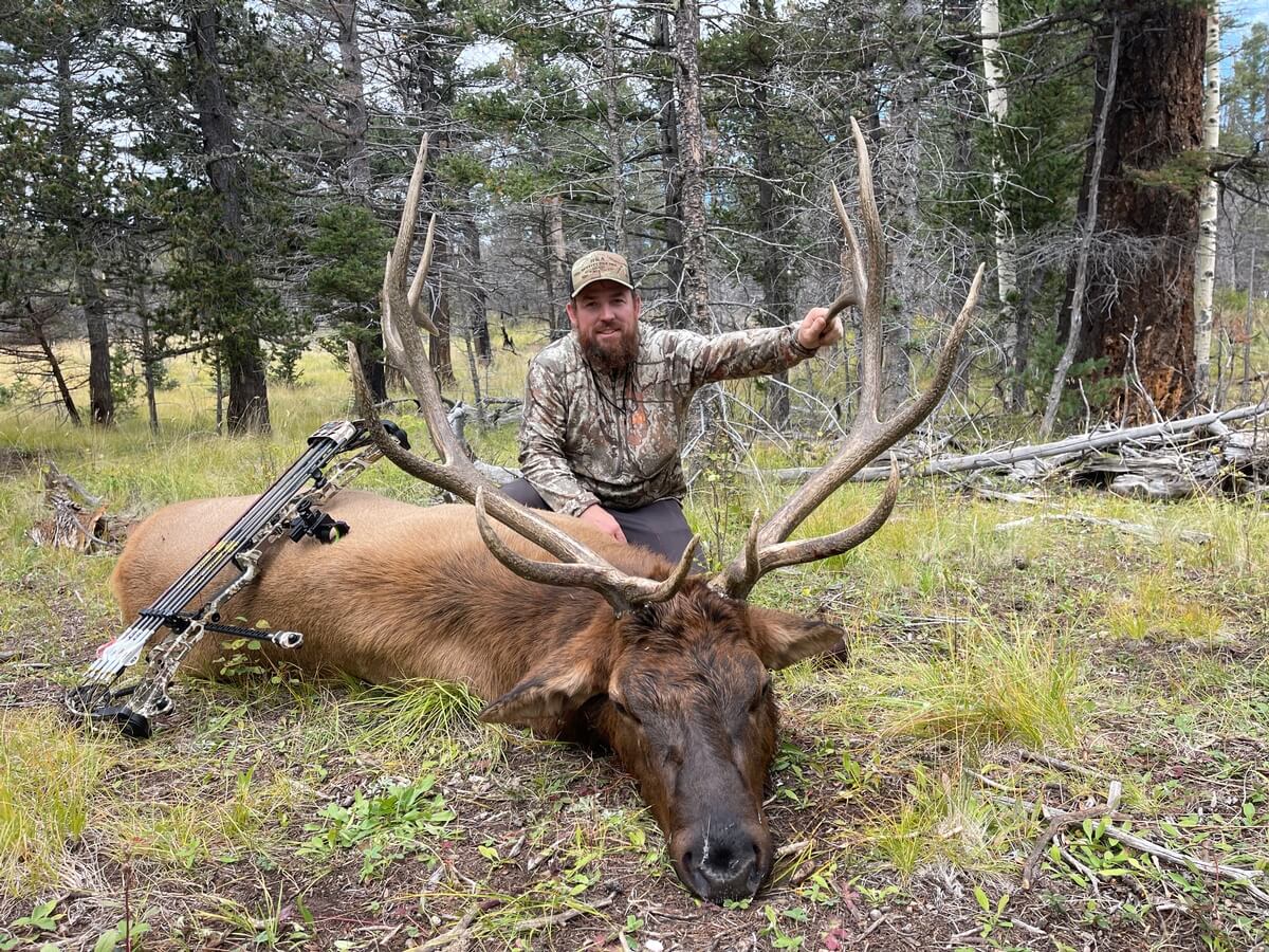 Archery Elk Hunt
