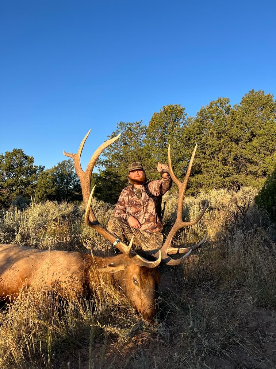 How to Secure Your Elk Hunt