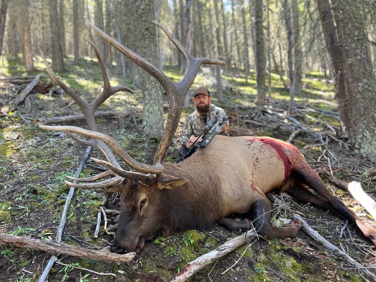 Public Land Elk Hunts