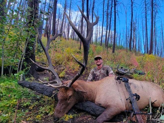 Guided Archery Elk Hunts