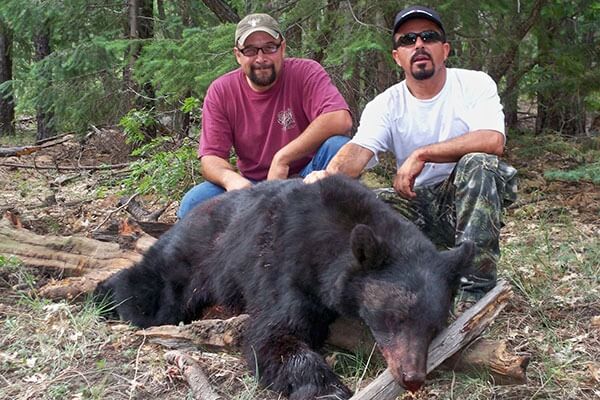 Bear Combo Archery Hunt