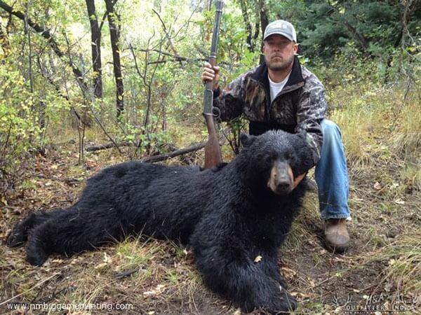 black bear hunts 