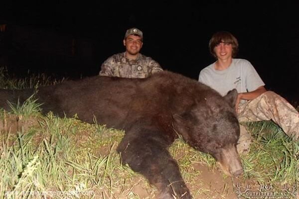 Black Bear Hunts