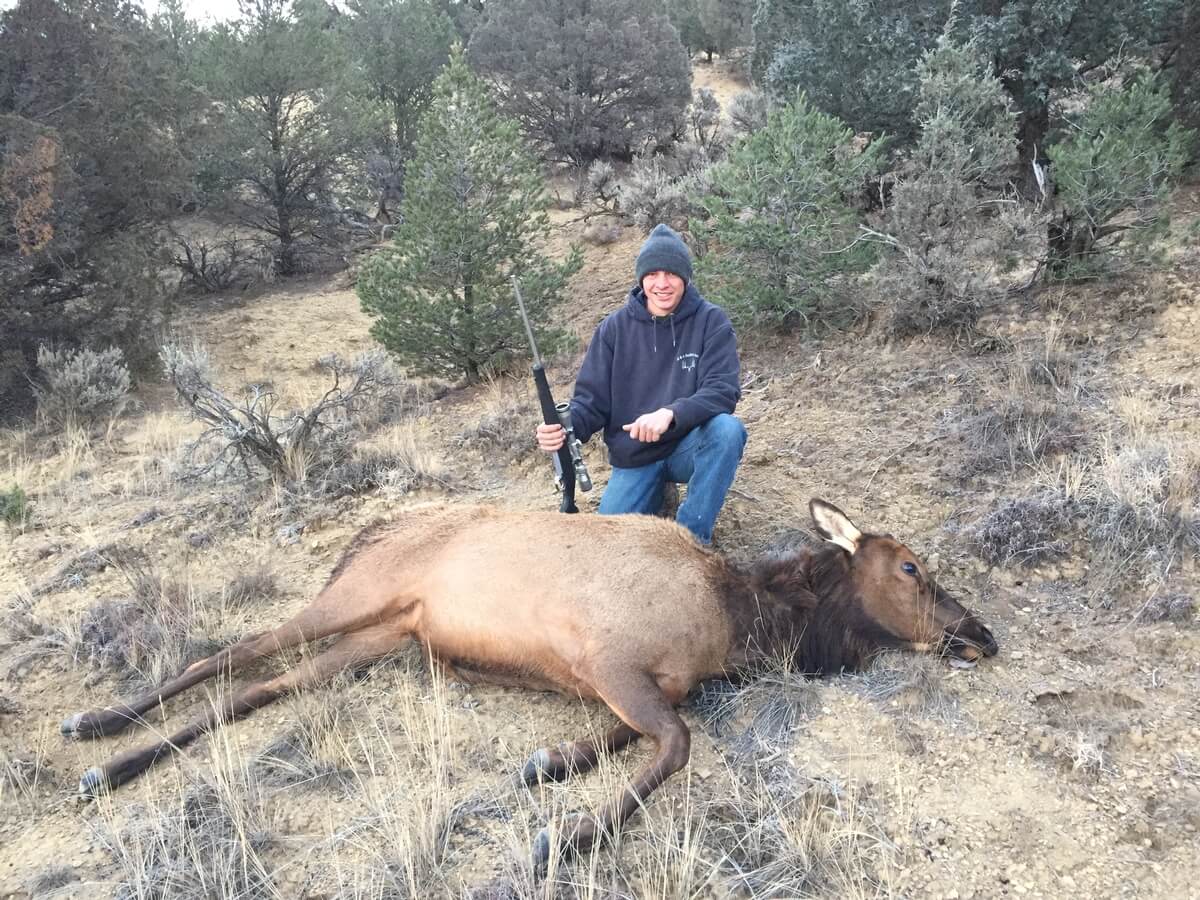 Cow Elk Hunts
