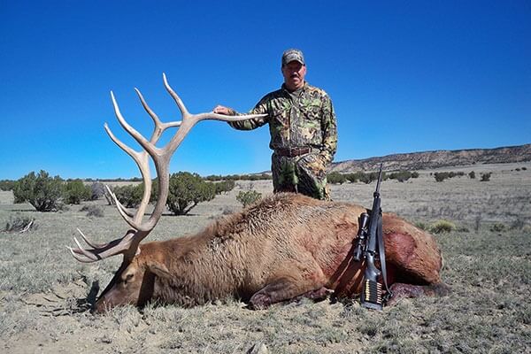 Elk Hunts 