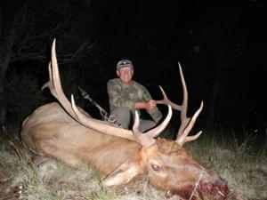 Dr. Gordon Roeder from PA and guide, Criss Padilla, had many close encounters throughout Gordon's New Mexico archery bull elk hunt and also unfortunately wounded a monster bull.  On the last afternoon of Gordon's hunt, Gordon decided to fill his tag with this respectable mature 6 x 6 bull.  Congratulations Gordon!  