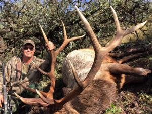 Mark Osborn from Missouri and guide, Drew, put the moves on this heavy 6 x 6 New Mexico bull elk during the 2015 muzzle loader season!  Mark made a great shot at around 250 yards and dropped the bull in his tracks!  Congratulations goes out to both of them for getting the job done!