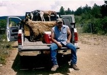 H&A Outfitters, Inc. is a fully licensed, insured full-time black bear hunting outfitter based out of Santa Fe, New Mexico, specializing in professional, fully guided black bear hunts since 1992 in many prime areas of New Mexico.