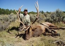 <p>H&A Outfitters, Inc. is a fully licensed, insured full-time elk hunting outfitter based out of Santa Fe, New Mexico, specializing in professional, fully guided elk hunts since 1992 in many prime areas of New Mexico.</p>