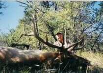 <p>H&A Outfitters, Inc. is a fully licensed, insured full-time elk hunting outfitter based out of Santa Fe, New Mexico, specializing in professional, fully guided elk hunts since 1992 in many prime areas of New Mexico.</p>