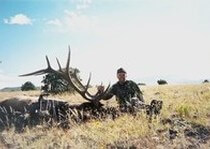 <p>H&A Outfitters, Inc. is a fully licensed, insured full-time elk hunting outfitter based out of Santa Fe, New Mexico, specializing in professional, fully guided elk hunts since 1992 in many prime areas of New Mexico.</p>