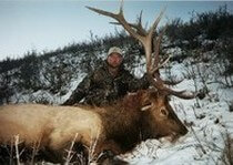 <p>H&A Outfitters, Inc. is a fully licensed, insured full-time elk hunting outfitter based out of Santa Fe, New Mexico, specializing in professional, fully guided elk hunts since 1992 in many prime areas of New Mexico.</p>