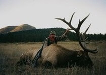 <p>H&A Outfitters, Inc. is a fully licensed, insured full-time elk hunting outfitter based out of Santa Fe, New Mexico, specializing in professional, fully guided elk hunts since 1992 in many prime areas of New Mexico.</p>