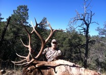 <p>H&A Outfitters Elk Hunts photo gallery.</p>