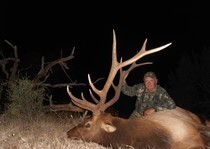 <p>H&A Outfitters Elk Hunts photo gallery.</p>