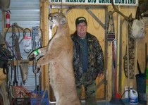 H&A Outfitters, Inc. is a fully licensed, insured full-time mountain lion hunting outfitter based out of Santa Fe, New Mexico, specializing in professional, fully guided mountain lion hunts since 1992 in many prime areas of New Mexico.