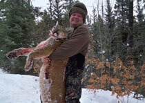 H&A Outfitters, Inc. is a fully licensed, insured full-time mountain lion hunting outfitter based out of Santa Fe, New Mexico, specializing in professional, fully guided mountain lion hunts since 1992 in many prime areas of New Mexico.