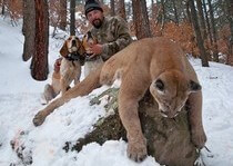 <p>H&A Outfitters, Inc. is a fully licensed, insured full-time mountain lion hunting outfitter based out of Santa Fe, New Mexico, specializing in professional, fully guided mountain lion hunts since 1992 in many prime areas of New Mexico.</p>