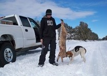 H&A Outfitters, Inc. is a fully licensed, insured full-time mountain lion hunting outfitter based out of Santa Fe, New Mexico, specializing in professional, fully guided mountain lion hunts since 1992 in many prime areas of New Mexico.
