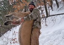 H&A Outfitters, Inc. is a fully licensed, insured full-time mountain lion hunting outfitter based out of Santa Fe, New Mexico, specializing in professional, fully guided mountain lion hunts since 1992 in many prime areas of New Mexico.