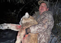 H&A Outfitters, Inc. is a fully licensed, insured full-time mountain lion hunting outfitter based out of Santa Fe, New Mexico, specializing in professional, fully guided mountain lion hunts since 1992 in many prime areas of New Mexico.