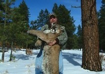 H&A Outfitters, Inc. is a fully licensed, insured full-time mountain lion hunting outfitter based out of Santa Fe, New Mexico, specializing in professional, fully guided mountain lion hunts since 1992 in many prime areas of New Mexico.