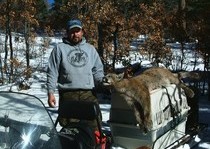 H&A Outfitters, Inc. is a fully licensed, insured full-time mountain lion hunting outfitter based out of Santa Fe, New Mexico, specializing in professional, fully guided mountain lion hunts since 1992 in many prime areas of New Mexico.