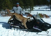 H&A Outfitters, Inc. is a fully licensed, insured full-time mountain lion hunting outfitter based out of Santa Fe, New Mexico, specializing in professional, fully guided mountain lion hunts since 1992 in many prime areas of New Mexico.