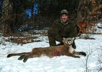 H&A Outfitters, Inc. is a fully licensed, insured full-time mountain lion hunting outfitter based out of Santa Fe, New Mexico, specializing in professional, fully guided mountain lion hunts since 1992 in many prime areas of New Mexico.