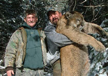 H&A Outfitters, Inc. is a fully licensed, insured full-time mountain lion hunting outfitter based out of Santa Fe, New Mexico, specializing in professional, fully guided mountain lion hunts since 1992 in many prime areas of New Mexico.