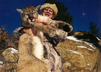 H&A Outfitters, Inc. is a fully licensed, insured full-time mountain lion hunting outfitter based out of Santa Fe, New Mexico, specializing in professional, fully guided mountain lion hunts since 1992 in many prime areas of New Mexico.