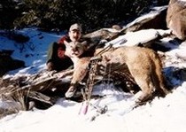 H&A Outfitters, Inc. is a fully licensed, insured full-time mountain lion hunting outfitter based out of Santa Fe, New Mexico, specializing in professional, fully guided mountain lion hunts since 1992 in many prime areas of New Mexico.