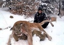 H&A Outfitters, Inc. is a fully licensed, insured full-time mountain lion hunting outfitter based out of Santa Fe, New Mexico, specializing in professional, fully guided mountain lion hunts since 1992 in many prime areas of New Mexico.