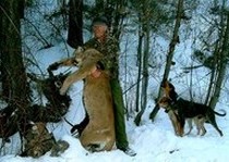 H&A Outfitters, Inc. is a fully licensed, insured full-time mountain lion hunting outfitter based out of Santa Fe, New Mexico, specializing in professional, fully guided mountain lion hunts since 1992 in many prime areas of New Mexico.