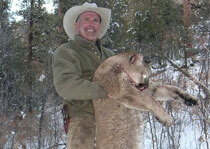 H&A Outfitters, Inc. is a fully licensed, insured full-time mountain lion hunting outfitter based out of Santa Fe, New Mexico, specializing in professional, fully guided mountain lion hunts since 1992 in many prime areas of New Mexico.