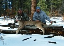 <p>H & A Outfitters, Inc. is a fully licensed, insured full-time mountain lion hunting outfitter based out of Santa Fe, New Mexico, specializing in professional, fully guided mountain lion hunts since 1992 in many prime areas of New Mexico.</p>