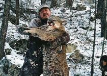 <p>H&A Outfitters, Inc. is a fully licensed, insured full-time mountain lion hunting outfitter based out of Santa Fe, New Mexico, specializing in professional, fully guided mountain lion hunts since 1992 in many prime areas of New Mexico.</p>