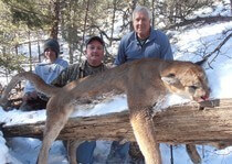 New Mexico mountain lion hunting clients with H&A Outfitters Inc.