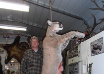 New Mexico mountain lion hunting clients with H&A Outfitters Inc.
