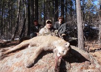 New Mexico mountain lion hunting clients with H&A Outfitters Inc.
